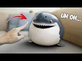 Download Lagu Don't Poke A Baby Shark!