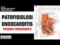 Download Lagu Patofisiologi Endocarditis I Pathway Endocarditis I Download File Cek Deskripsi