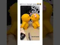Download Lagu squishy dino kuning lucu banget 😭😭