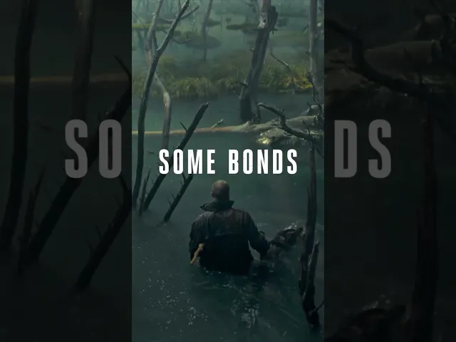 background images