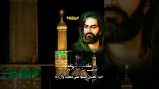 على نظرة امل مولاي يااباعبدالله يااباالفضل العباس يازينب الكبرى ياعقيلة بني هاشم 