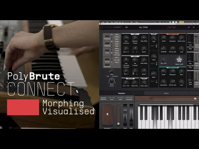 PolyBrute Connect - Episode 3: Morphing Visualised