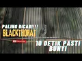 Lagu BLACKTHROAT GACOR KONSLET !!! CENGKOK MEWAH CEPAT MASUK !!! RECOMENDED BUAT MURAI \u0026 KENARI PAUD !!!