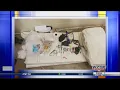 Major contraband sweep conducted at Morgan County Jail