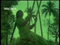 Download Lagu Ramachilaka pellikodukevare.....Ramachilaka