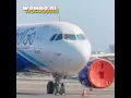 Download Lagu indigo airbus a320 singing fala Mal de mim