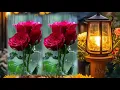 احمد سعد - الف تحية (من مسلسل موضوع عائلي ٣)   Ahmed Saad - Alf Ta7eya (Mawdo3 Aeli 3)