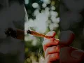 Serhat Durmus- Hislerim (Maxximizr remix)