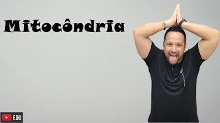 Mitocôndria - Características e Funções - Organela Citoplasmática - Citologia