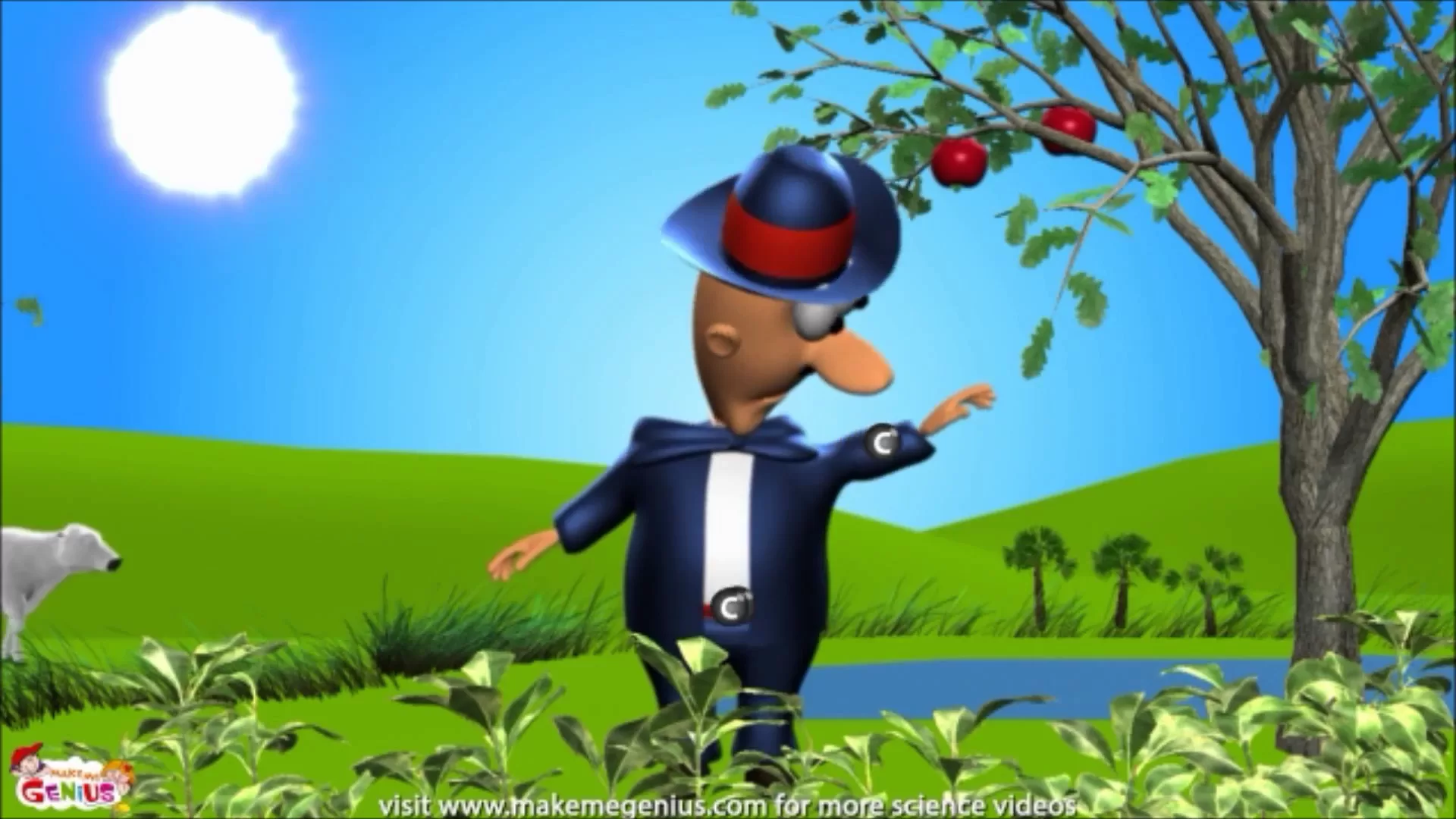 The Carbon Cycle,Carbon Dioxide -Cycle ( CO2 )