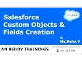 Salesforce Custom Objects Fields creation By Neha V AN REDDY TRAININGS