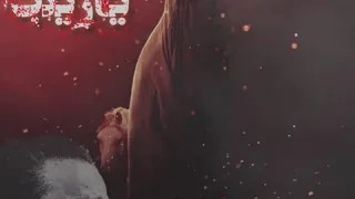 باسم الكربلائي انه زينب يالعفتني دندنها