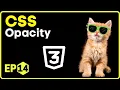 CSS Opacity CSS in Hindi - 14