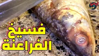 طريقة الفراعنة في خلي الفسيخ 