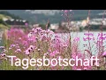 Download Lagu Jetzt fügt sich etwas für dich🤗 Tagesbotschaft*zeitlos*