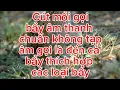 Download Lagu Cút mồi gọi bầy âm chuẩn không tạp âm kêu là đến phù hợp các loại bẩy