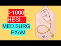 Hesi Medical Surgical Nursing Review