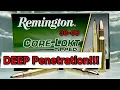 DEEP EXPLOSIVE 30-06 Remington CoreLokt Tipped 180gr Ammo Test