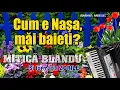 Download Lagu MUZICA DE PETRECERE – MITICA BLANDU SI ZORILE - CUM E NASA MAI BAIETI