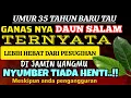 Download Lagu WAJIB TAU \u0026 DI MILIKI‼️Modal selembar DAUN SALAM-jadi milyarder-KAYA RAYA secara INSTANT..!!