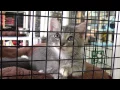 PETLAND FORT MYERS