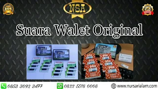 suara walet original upgrade 2018 sampel walet super ii 
