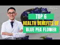 Download Lagu Top 6 Health Benefits Of Blue Pea Flower!