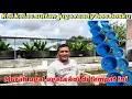 Download Lagu Koi kelas sultan apa koi murah ugal ugalan , di sini tempatnya !!buruan