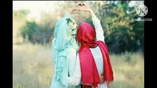 صاحبى ياصاحبى بهاء سلطان بدون موسيقى 