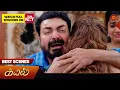 Download Lagu Kayal - Best Scenes | 19 Aug 2025 | Tamil Serial | Sun TV