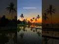 Download Lagu TIARA versi Sholawat AHBABUL MUSTHOFA