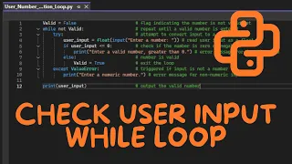 Python Input Validation Tutorial How to Validate Numeric User Input Beginner-Friendly Guide