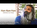 Download Lagu Hare Ram Hare – Mahababa \u0026 Jai Sahaja! (Papaji Jayanti Bhajans)