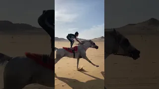 الخيل من خيالها 