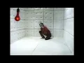 Quiet Riot - Metal Health (Official Video), Full HD (AI Remastered and Upscaled)