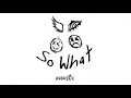 Download Lagu jxdn - So What! (Acoustic) (Official Audio)
