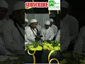 Download Lagu Gus Apang Sholawat \u0026 Mahalul Qiyam PART 1