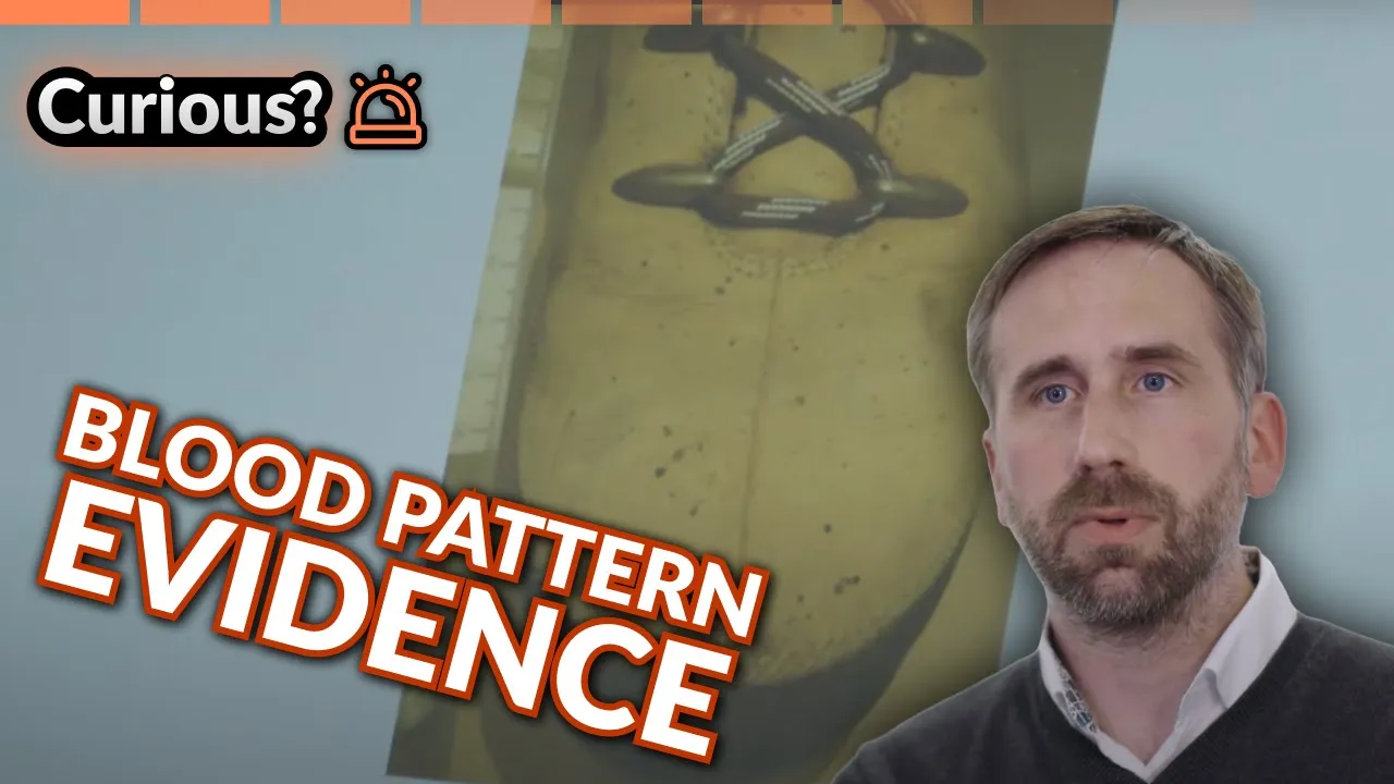 Solving Crimes with Science | Expert Witness | Curious?: True Heroes