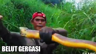 bikin heboh aksi menegangkan saat menaklukan belut belut monster
