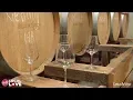 Big Y Local Love - Black Birch Vineyard in Hatfield MA