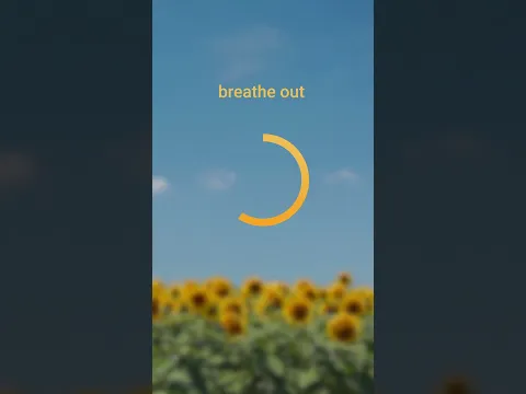 "Sunflower Fields" is coming - #newsinglecomingsoon #music #newmusic