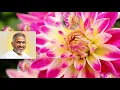 Download Lagu Arumbarumba Saram SONGS 8D Audio. Surround Sound.Use Headphones