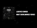 Ludovico Einaudi - Night (HowlinnWolf Remix)