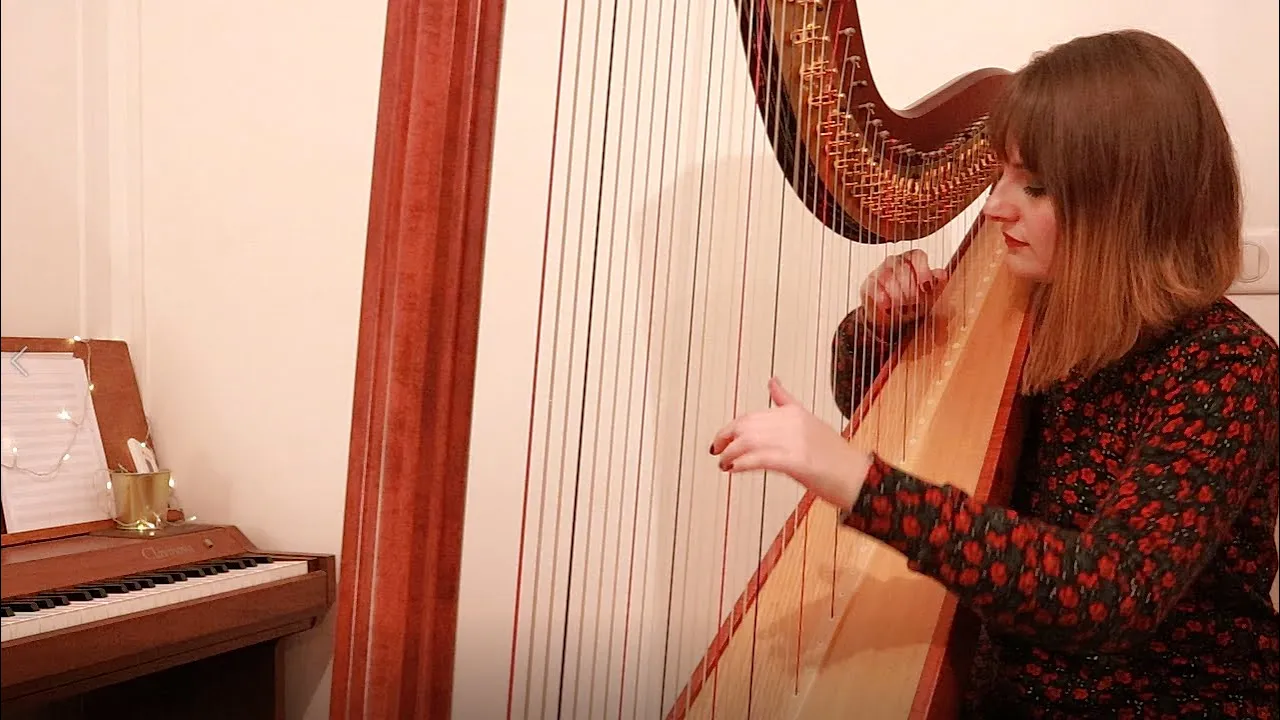 Jonas Brothers - What A Man Gotta Do (Harp Cover)