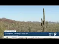 Environmentalists sue to stop new AZ interstate