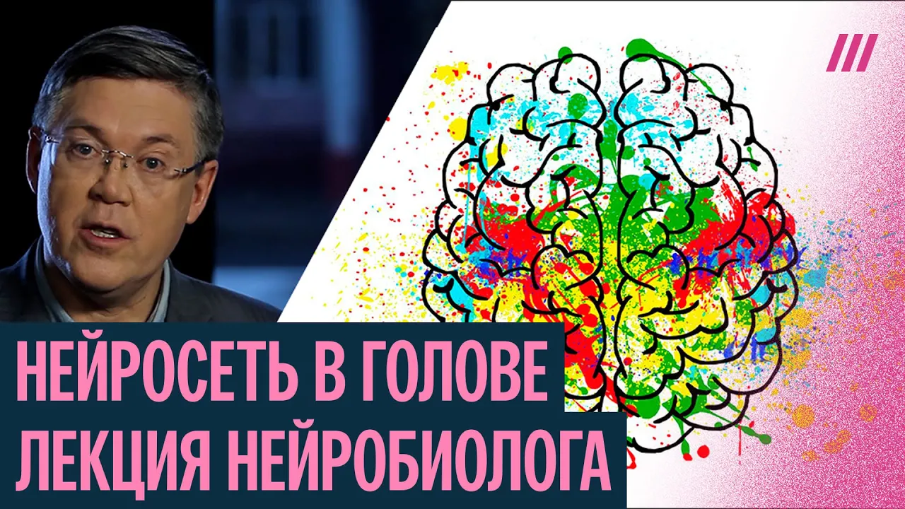 Нейросеть в голове. Нейробиолог Вячеслав Дубынин — о том, как работает наш мозг