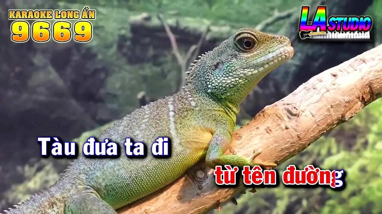 Chiều Tây Đô - Karaoke - Tone Nữ (Nhạc Sống)