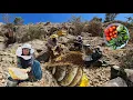 Download Lagu 🍯 Honing oogsten in de bergen | Avontuur en hard werken in het nomadische leven van Mohammed en