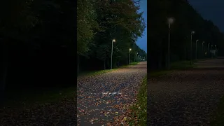 ويوم وداعنا فجرا  دندنها