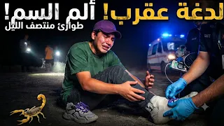 ​خطر الموت: لدغة العقرب التي كادت ان تنهي حياتي في منتصف الليل!